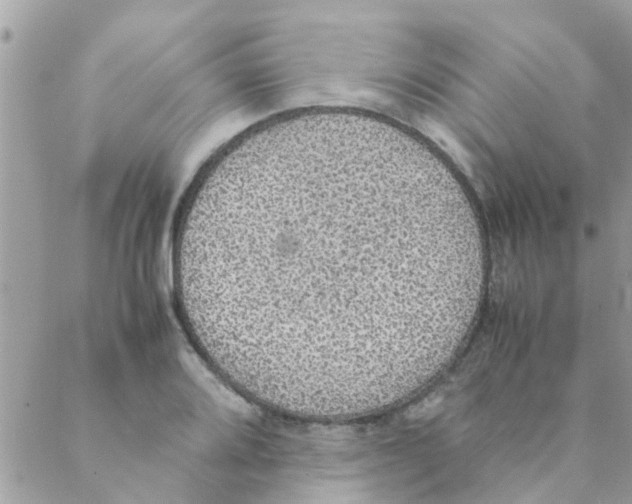 X0000088231080200706121850