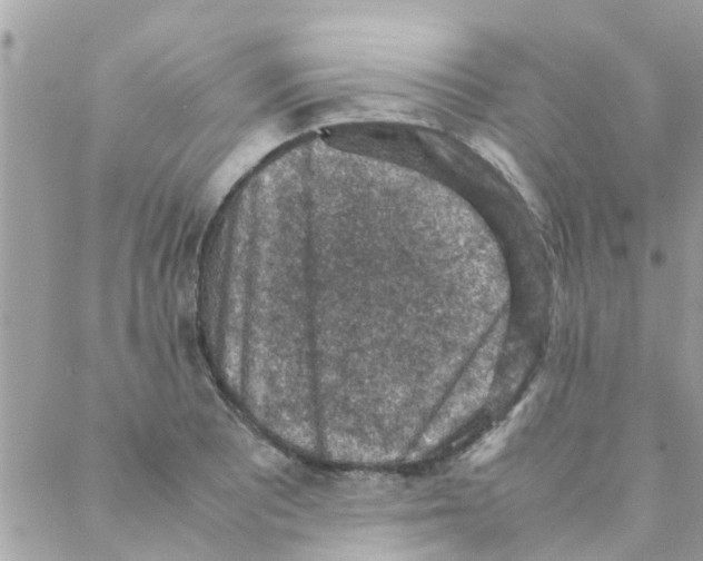 X0000088231081200706121850