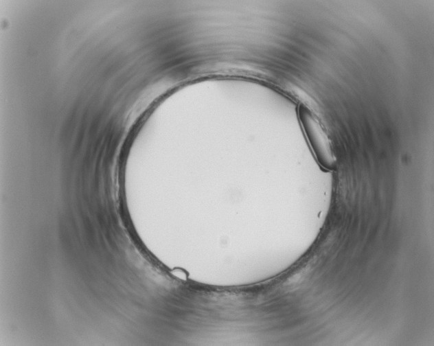 X0000088231082200706121850