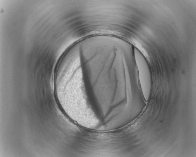 X0000088231084200706121850