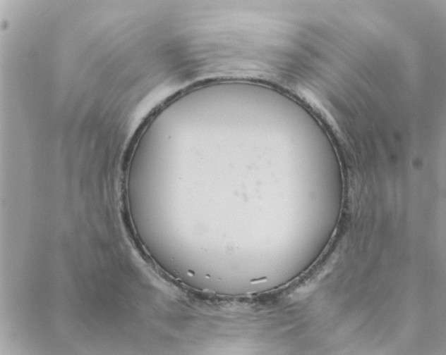 X0000088231085200706121850