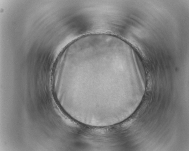 X0000088231086200706121850