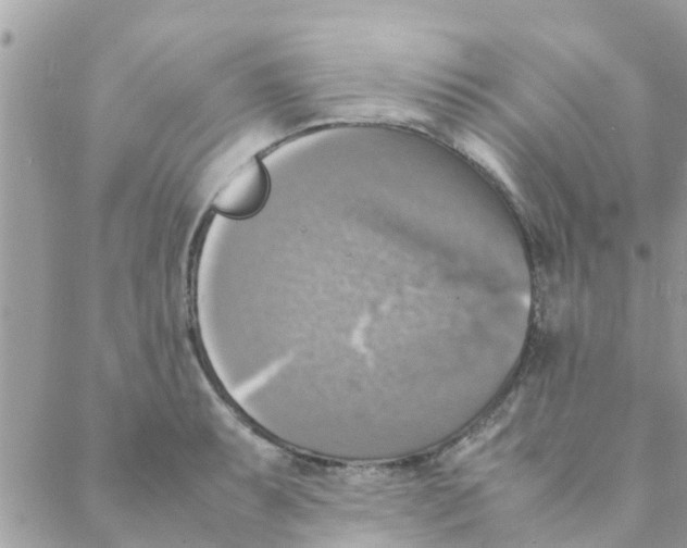 X0000088231087200706121850