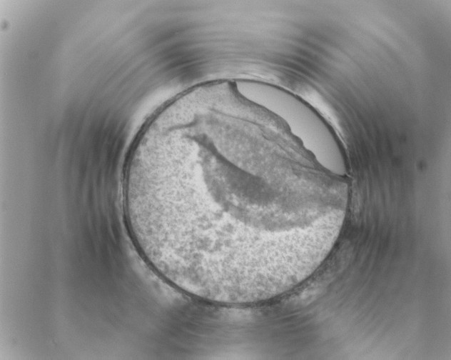 X0000088231088200706121850