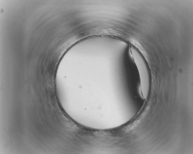 X0000088231089200706121850