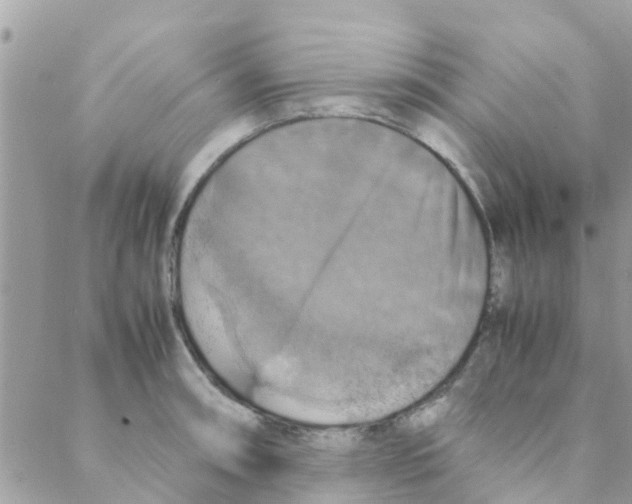 X0000088231090200706121850