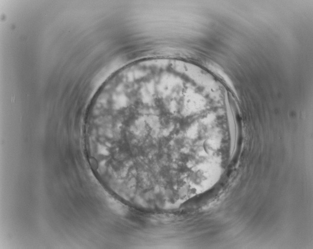 X0000088231091200706121850