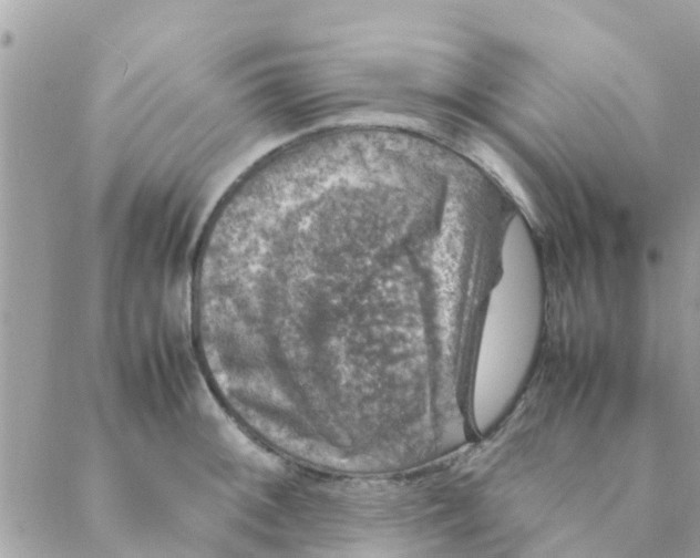 X0000088231092200706121850