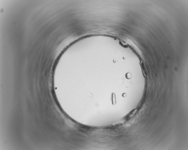 X0000088231093200706121850