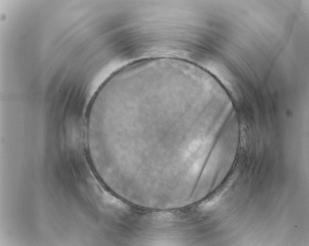 X0000088231094200706121850