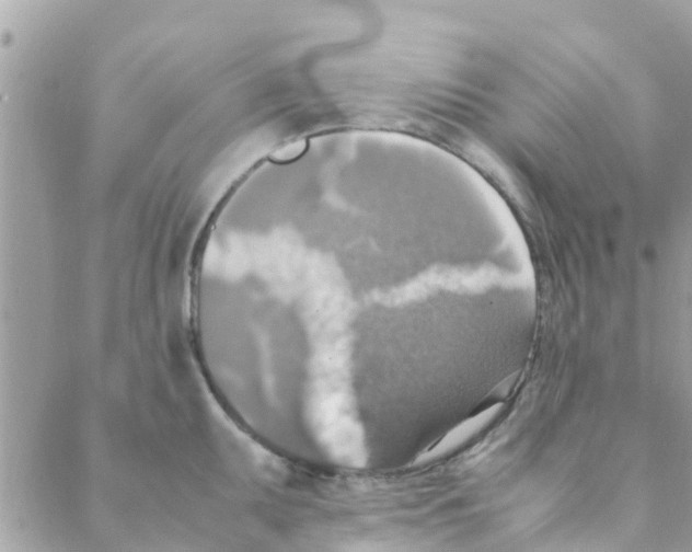 X0000088231095200706121850