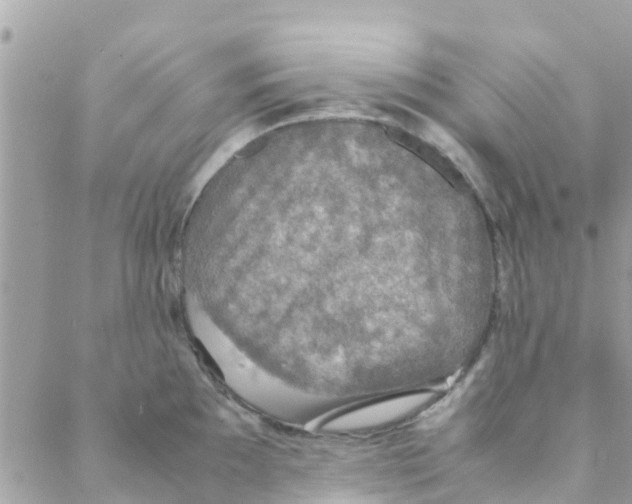 X0000088231097200706121850