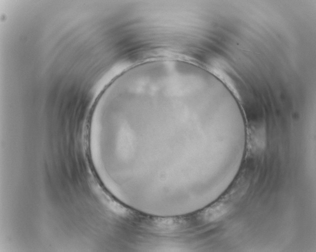 X0000088231098200706121850