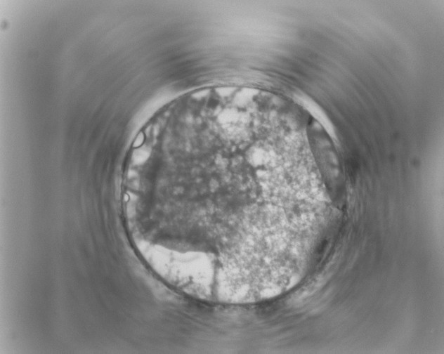 X0000088231099200706121850