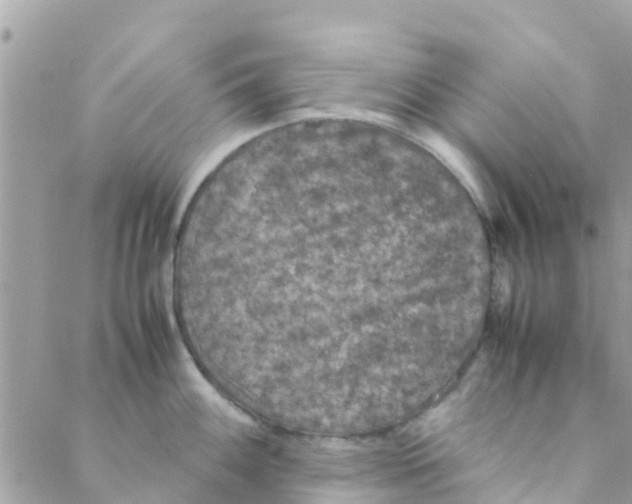 X0000088231100200706121850