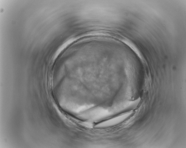 X0000088231101200706121850