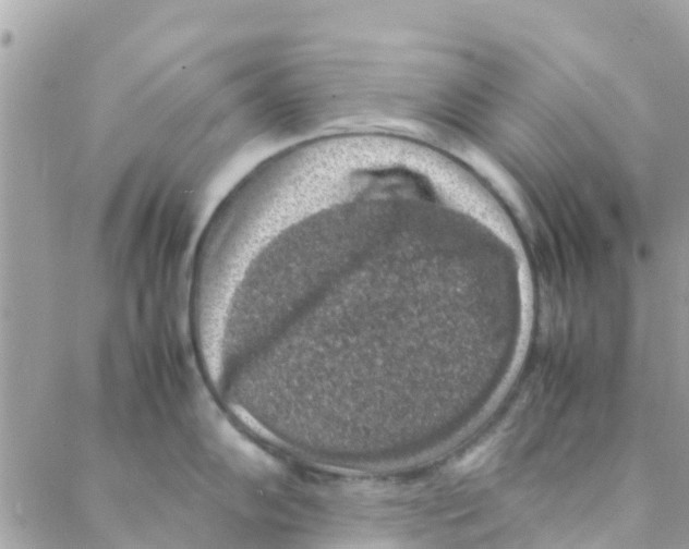 X0000088231102200706121849