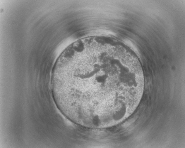 X0000088231103200706121849