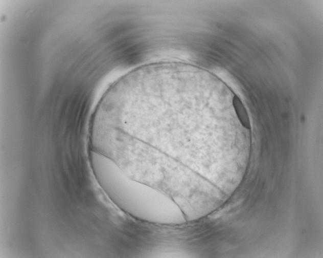 X0000088231104200706121849