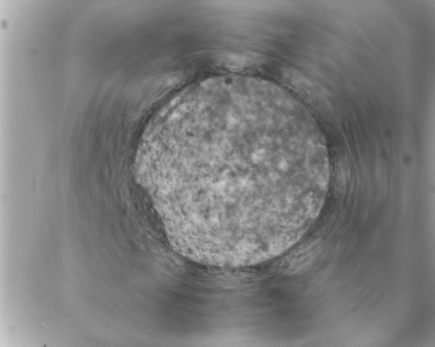 X0000088231105200706121849