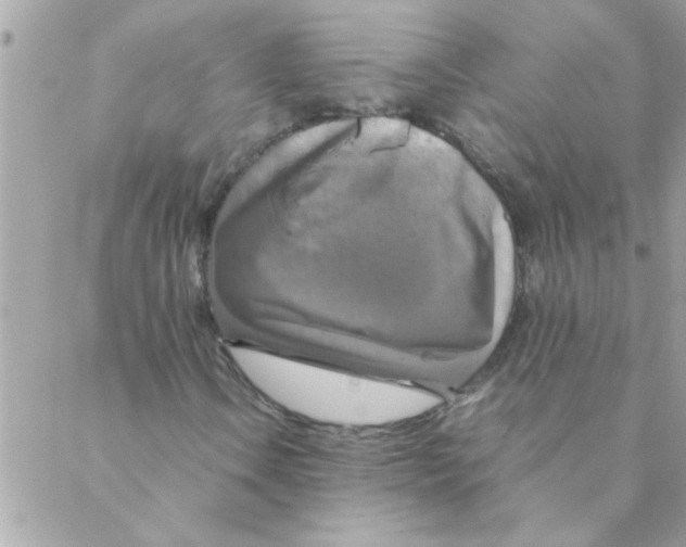 X0000088231106200706121849