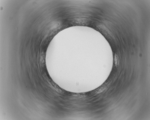 X0000088231107200706121849