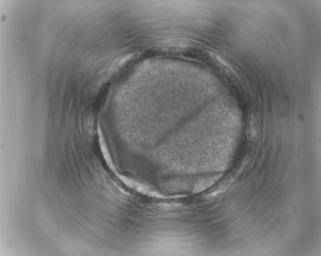 X0000088231108200706121849