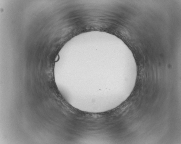 X0000088231109200706121849