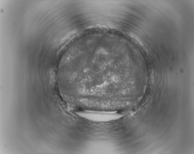 X0000088231110200706121849