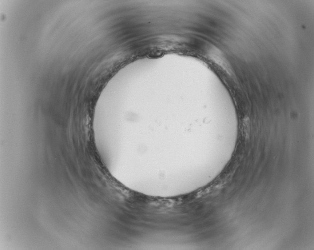 X0000088231111200706121849