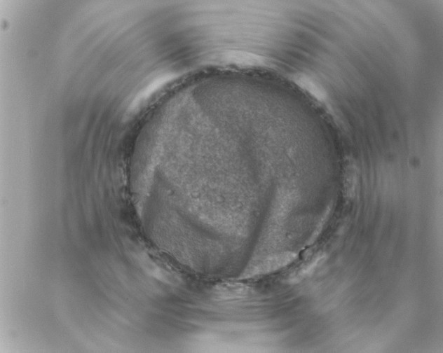 X0000088231112200706121849