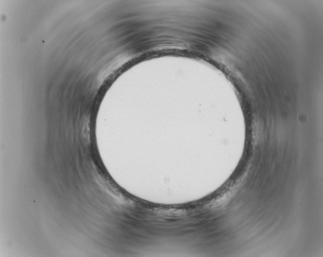 X0000088231113200706121849