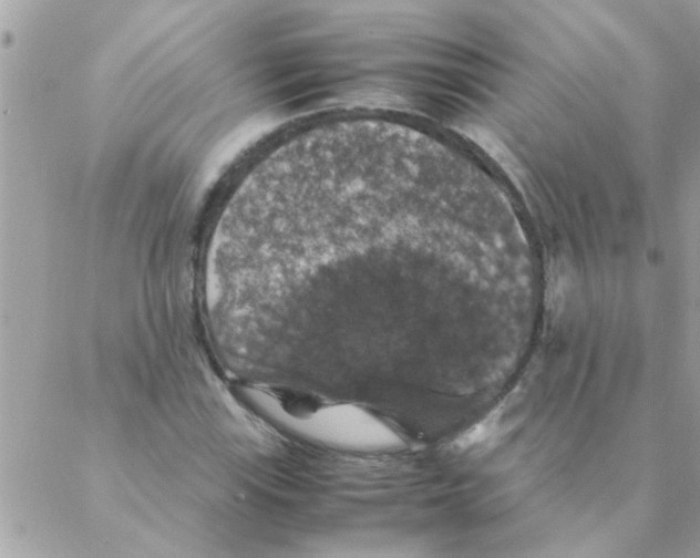 X0000088231115200706121849