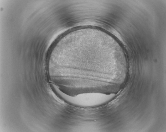 X0000088231116200706121849