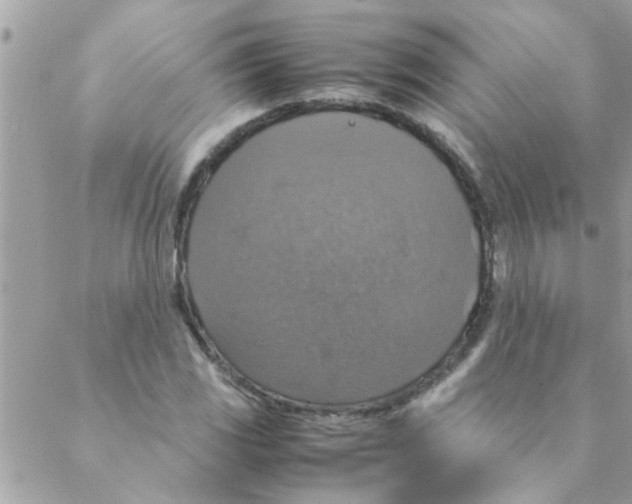 X0000088231117200706121849