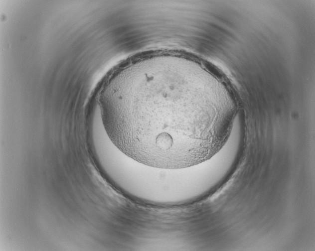 X0000088231118200706121849