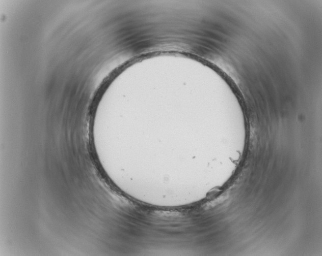 X0000088231119200706121849