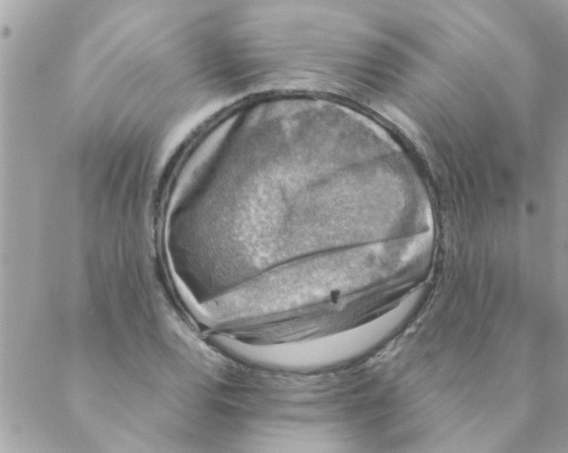 X0000088231120200706121849