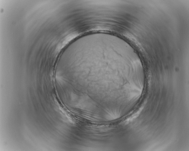 X0000088231121200706121849