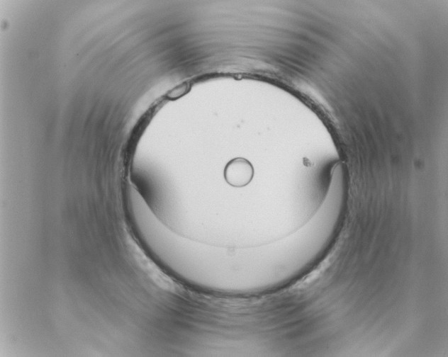 X0000088231122200706121849