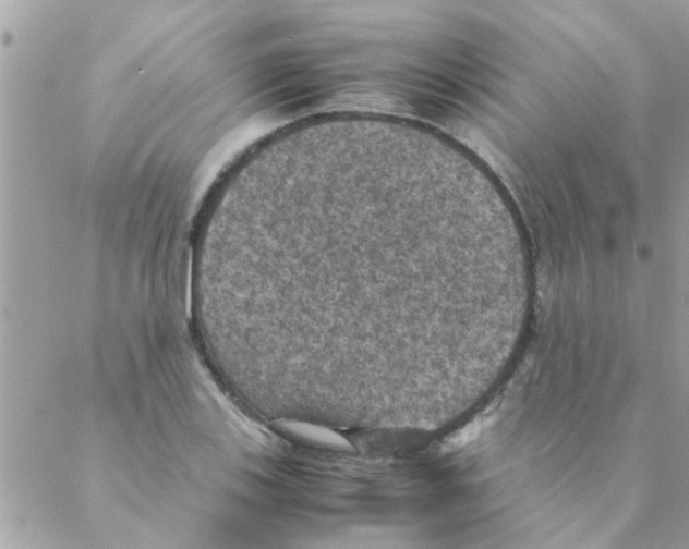 X0000088231123200706121849