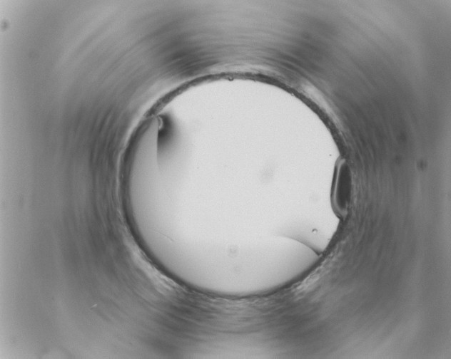 X0000088231124200706121849