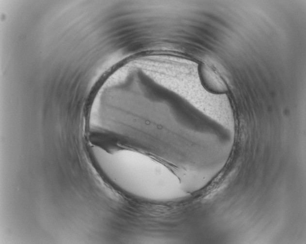 X0000088231125200706121849