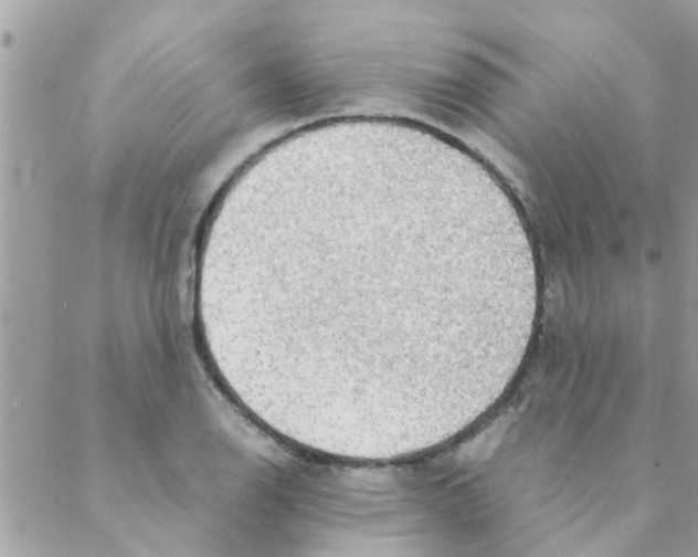 X0000088231126200706121849