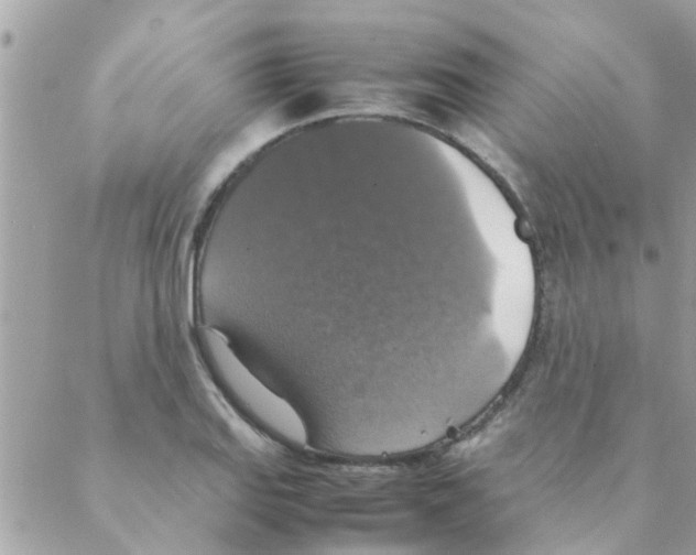 X0000088231127200706121849