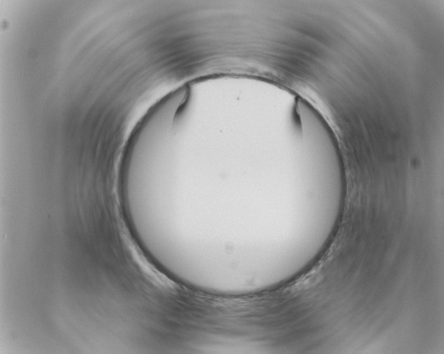 X0000088231128200706121849