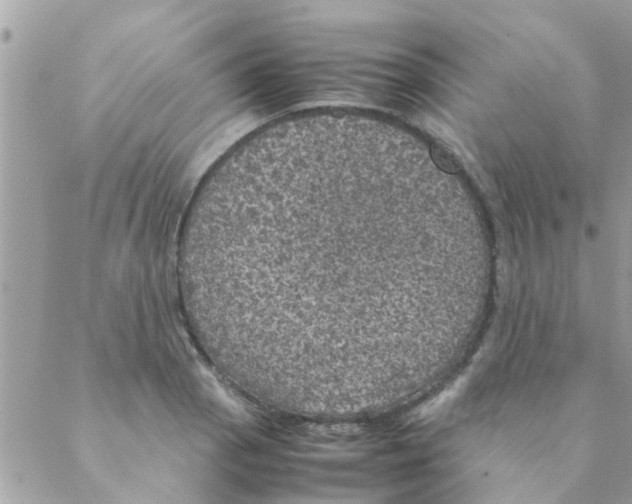 X0000088231129200706121849