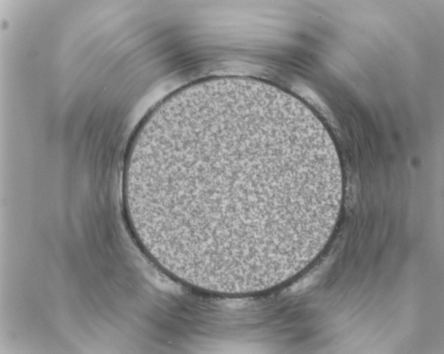 X0000088231130200706121849