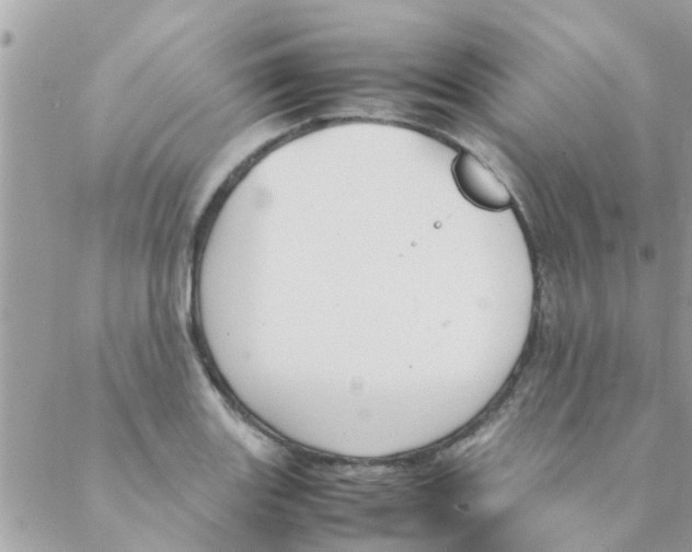 X0000088231131200706121849