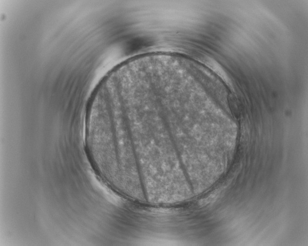 X0000088231132200706121849